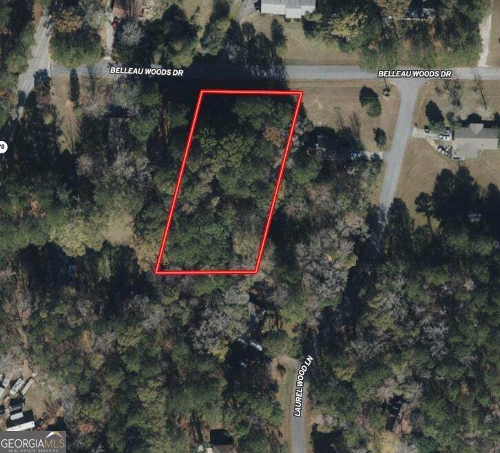 0 Belleau Woods Drive - Photo 1