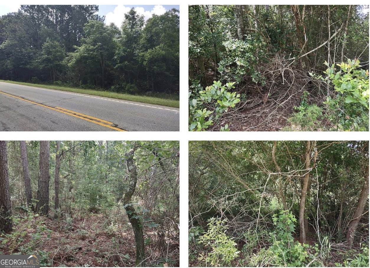 0 Barnesville Highway - Photo 1