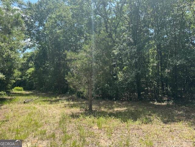 3908 Byrd Road - Photo 1