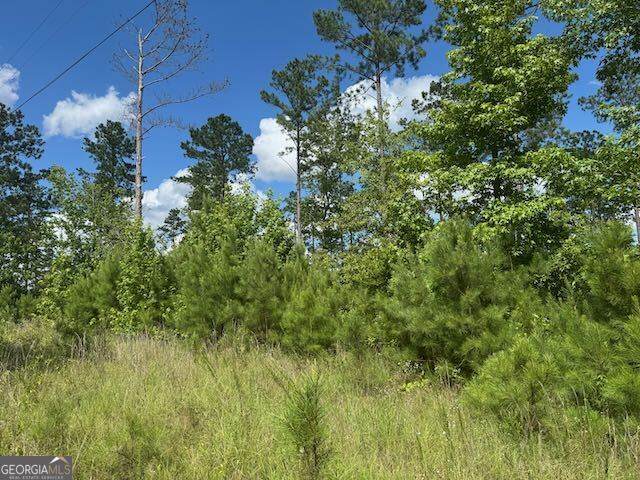 LOT 10 Tennille Oconee Road - Photo 1