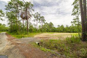 0 Zettler Road - Photo 1