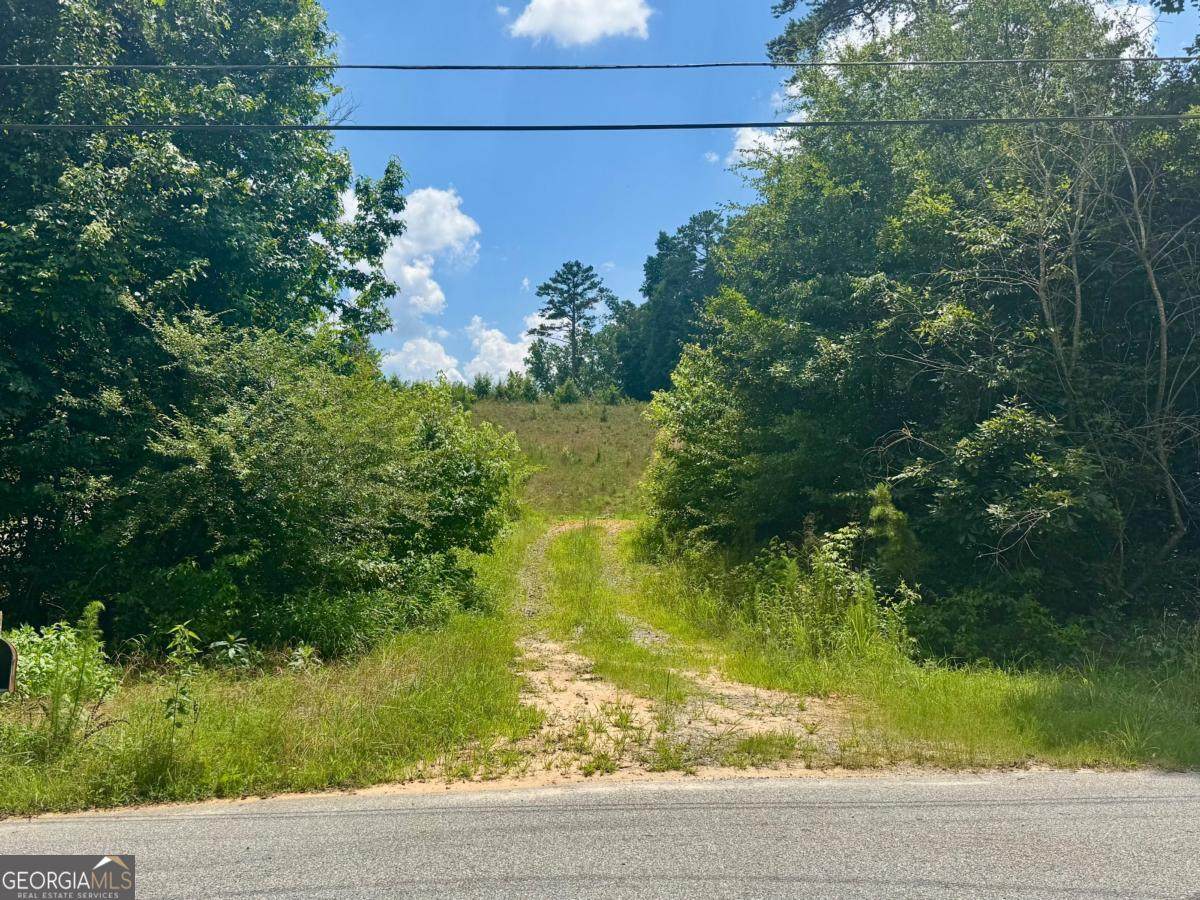 0 Beaver Dam Road - Photo 1