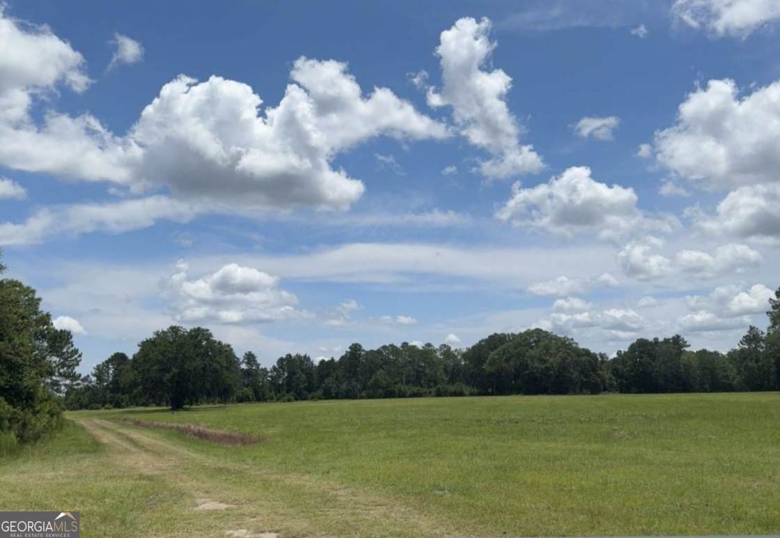 35+ ACRES Wells Road - Photo 1