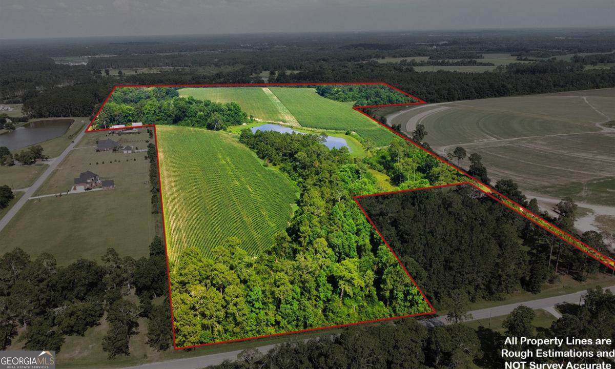 0 Belflower Road - Photo 1