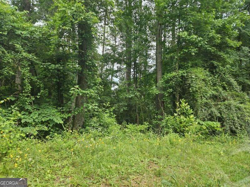 2435 Hi Roc Circle - Photo 1