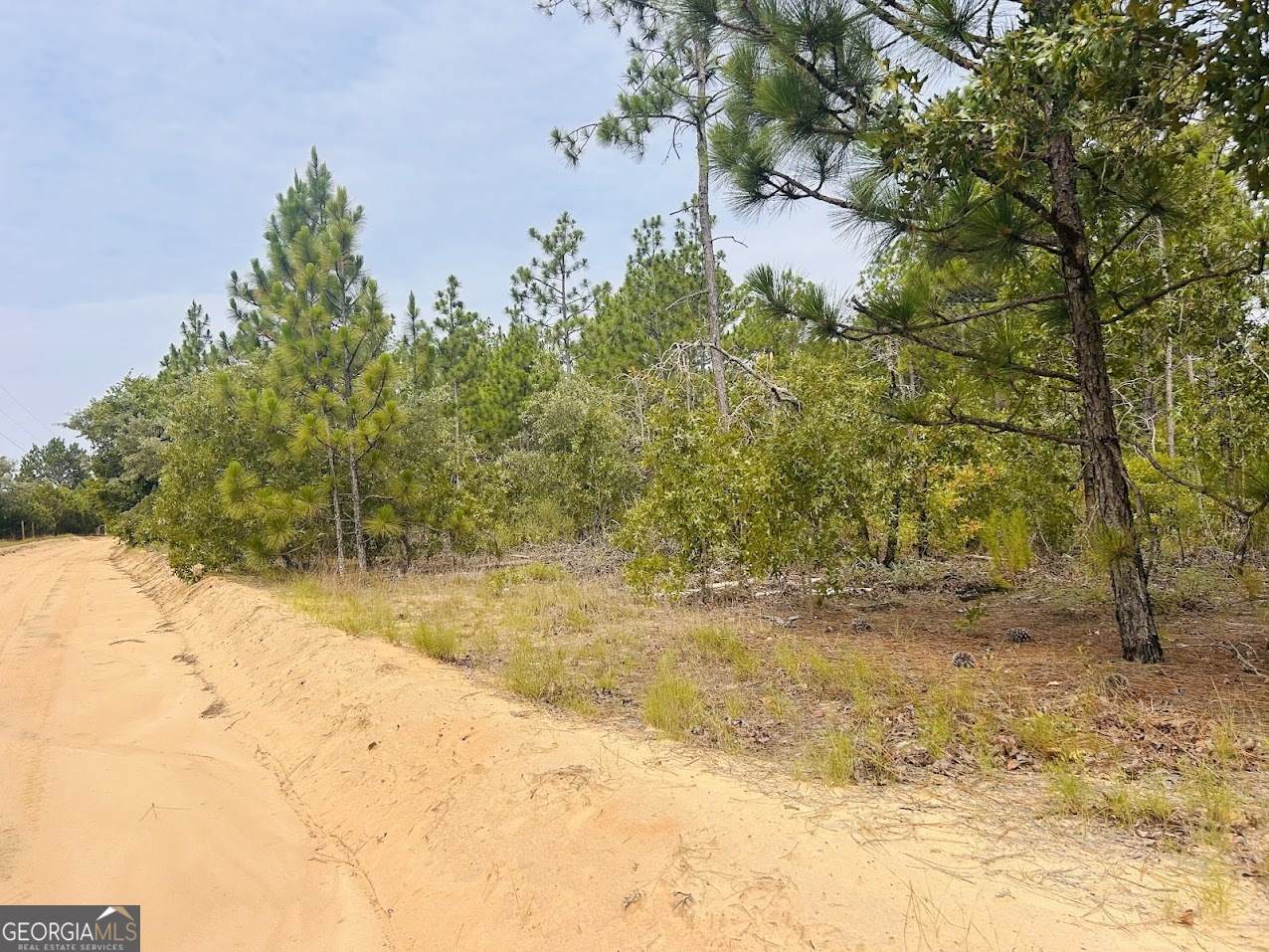 375 Village Lane - Photo 1