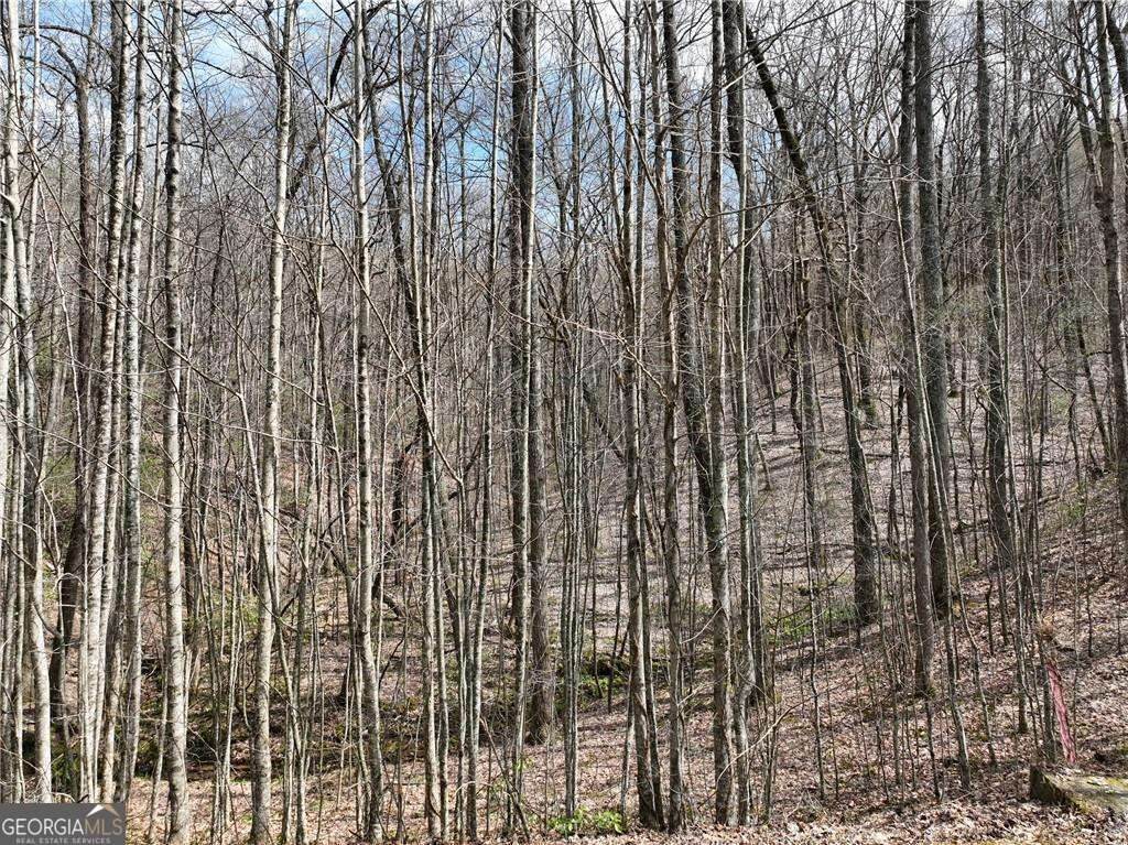 64 St Andrews Way - Photo 1