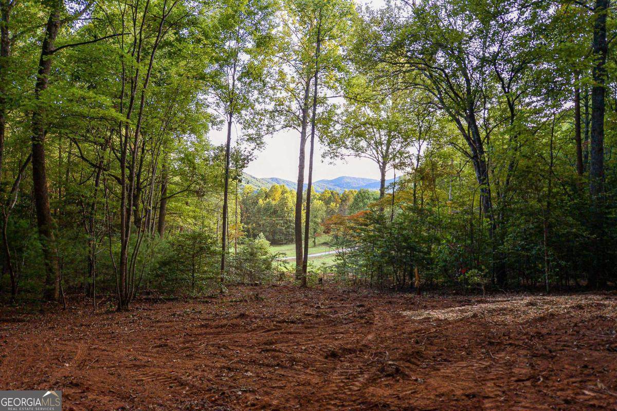 0 Cottonwood Lane - Photo 1