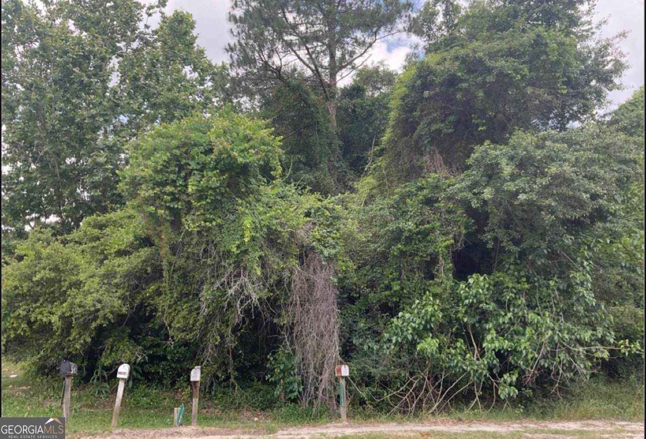 0 Ga Hwy 129 - Photo 1