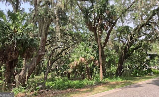 918 Wagner Lane - Photo 1