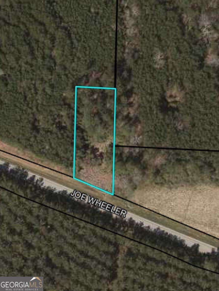 0 Us Highway 278 - Photo 1