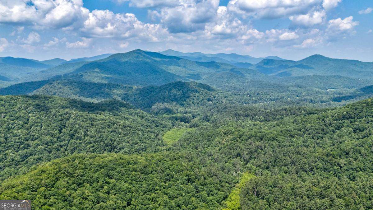 7320 Chestnut Valley Road - Photo 1