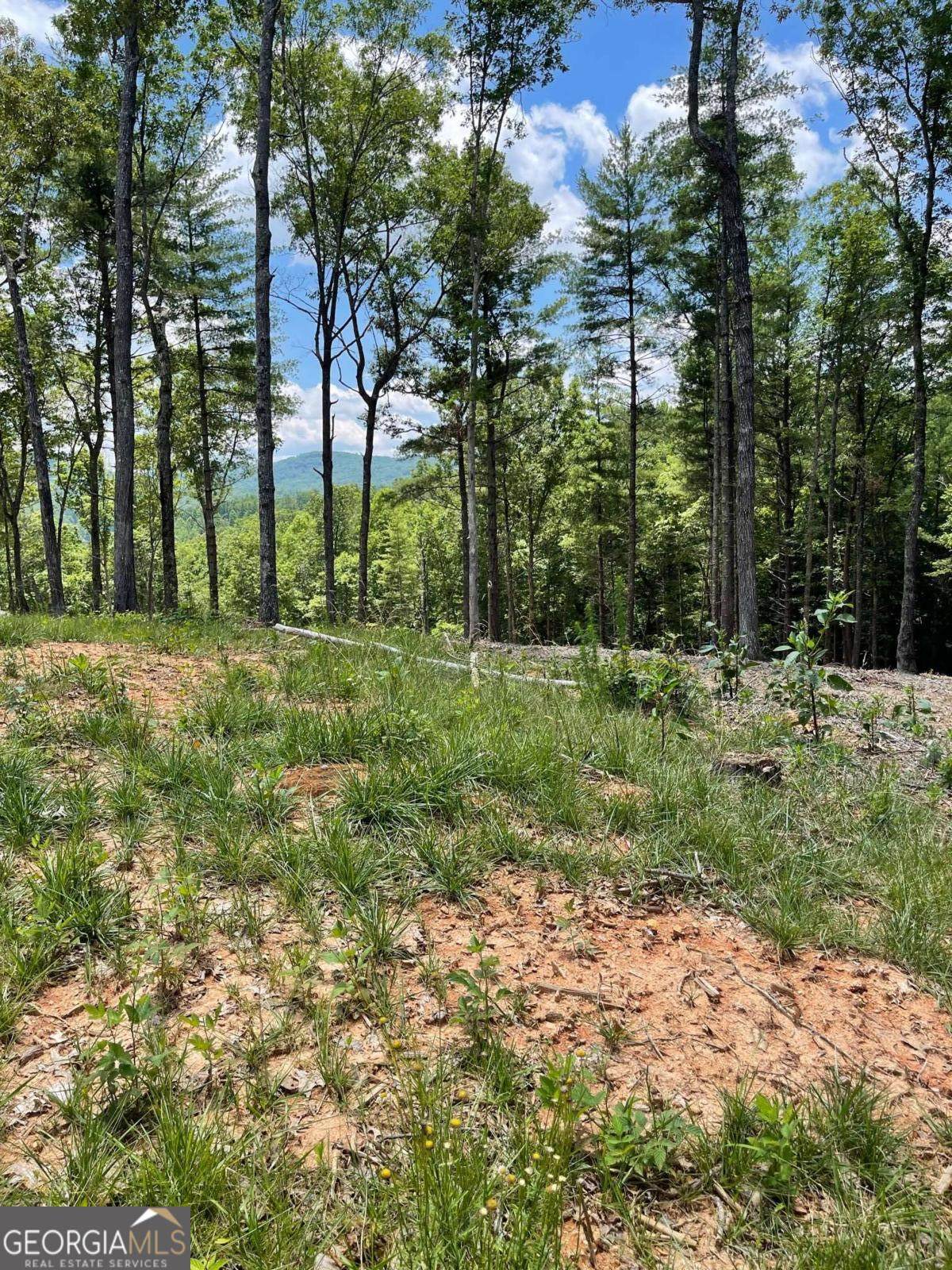 LOT 95 The Ridges - Photo 1