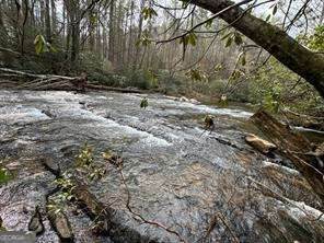 0 Horseshoe Bend Road - Photo 1