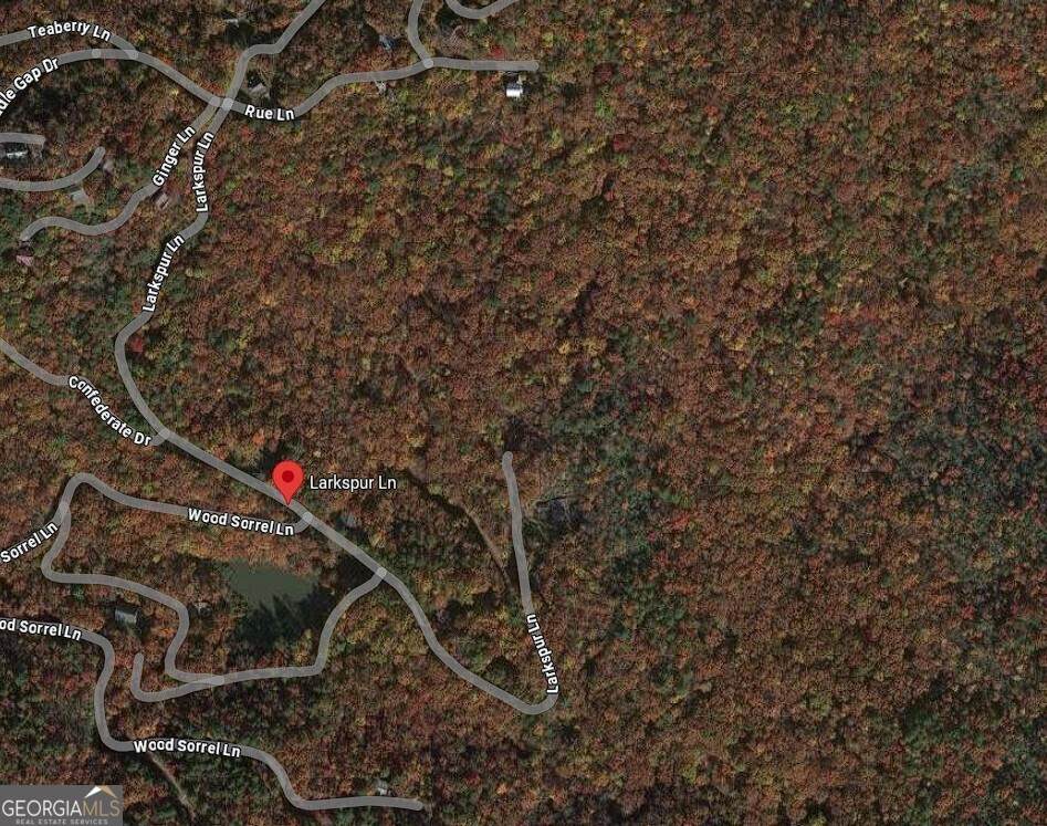 LOT 846 Larkspur Lane - Photo 1