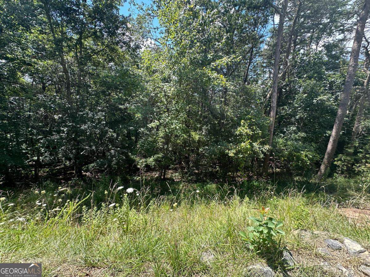 0 Oak Trace - Photo 1