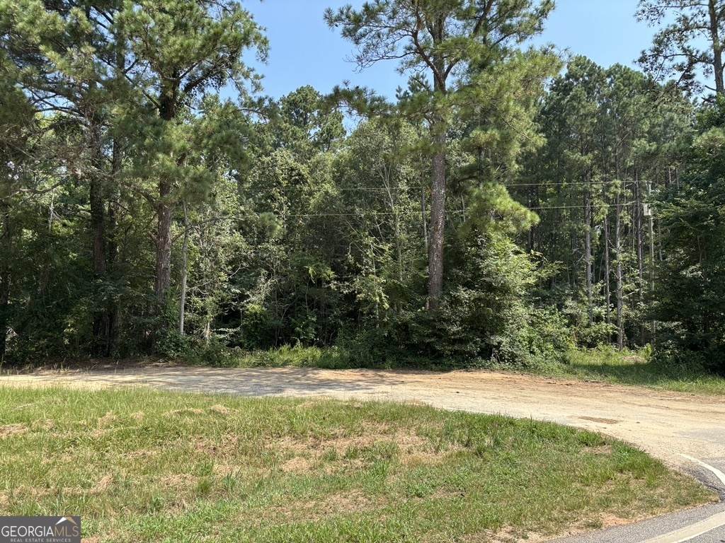 0 Greensboro Hwy - Photo 1