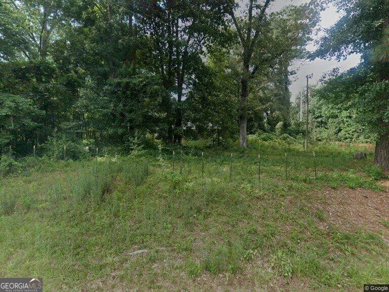 393 & 381 Old Conyers Road - Photo 1