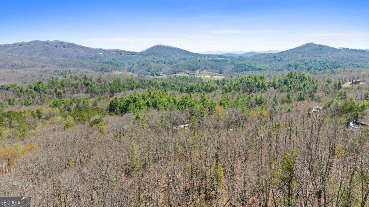 40B Synacia Road - Photo 1