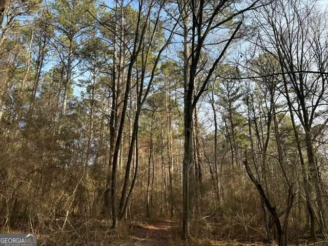 2994 Mt Zion Road - Photo 1