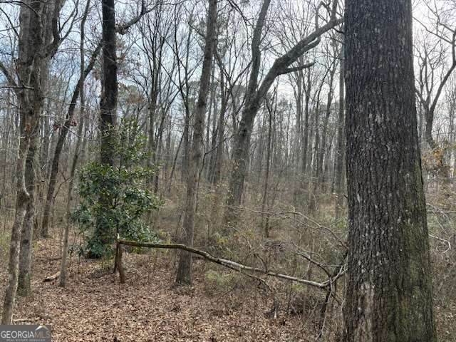 2994 Mt Zion Road - Photo 1