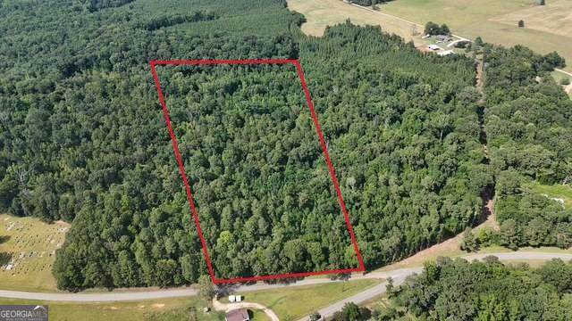 3 Bunch Road - Photo 1