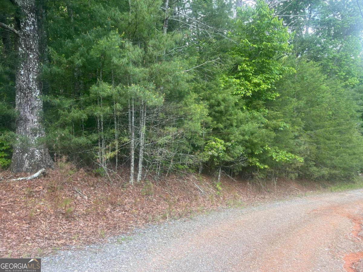 LOT 100 Ashe Court - Photo 1