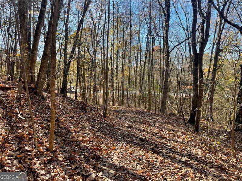 1009 Canton Highway - Photo 1