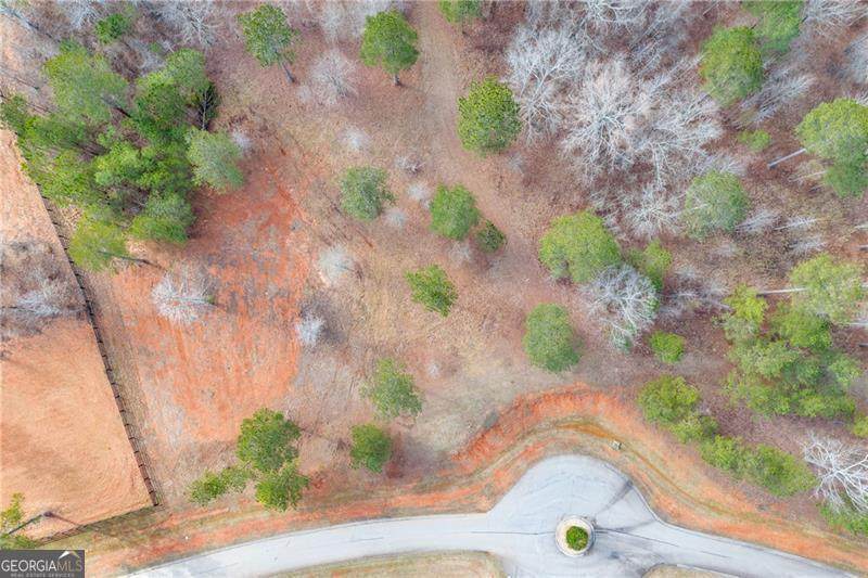 1071 Apalachee - Photo 1