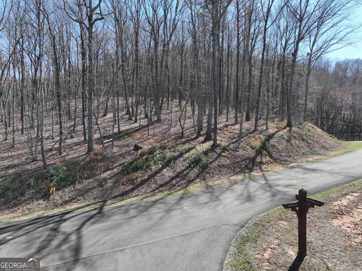 180 Trailwood Drive - Photo 1