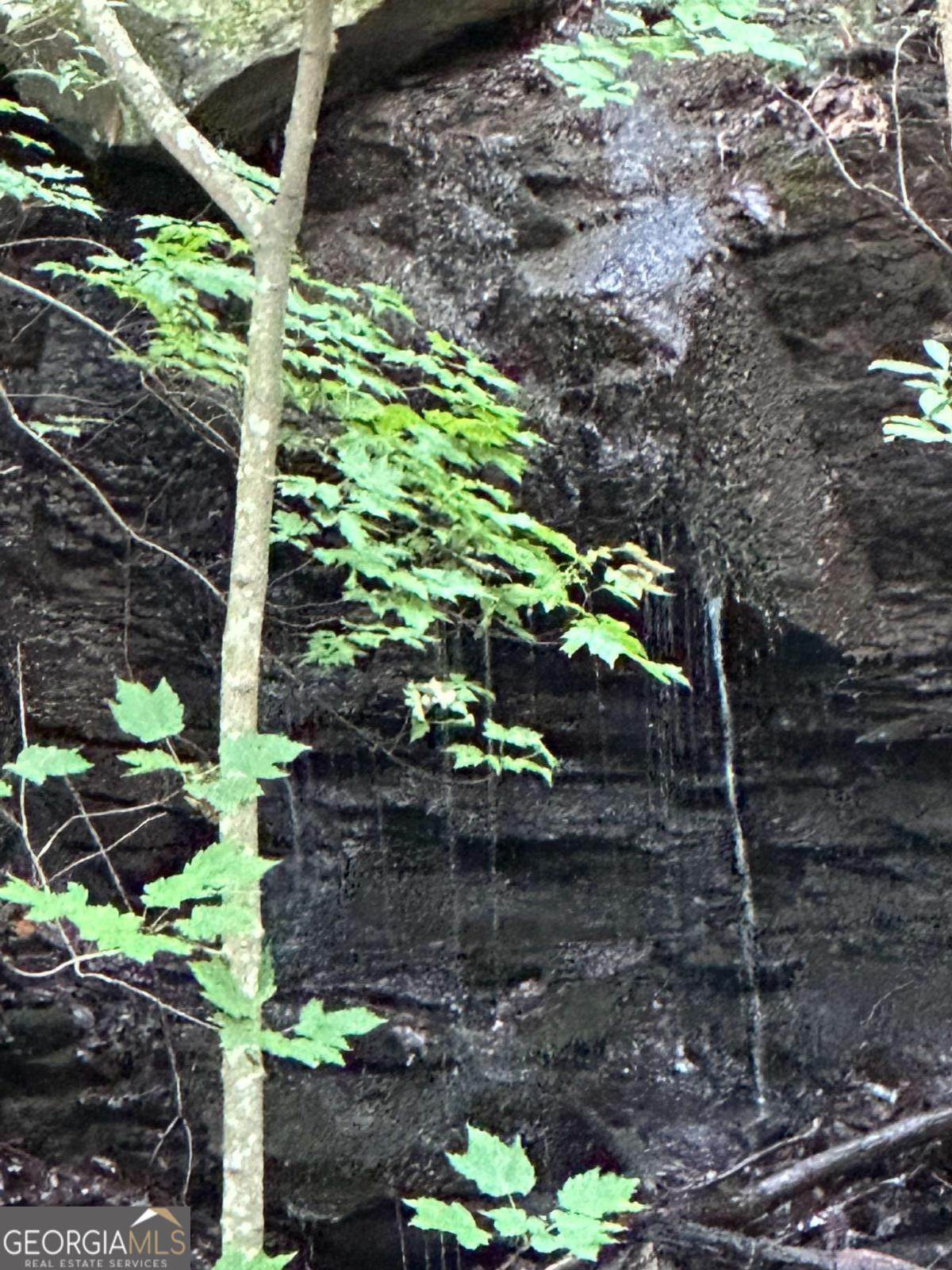 1225-1227 Oglethorpe Road - Photo 1