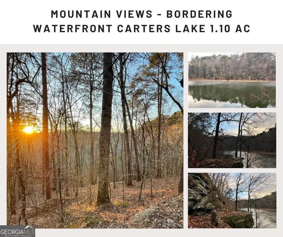 681,682 Julep Circle - Photo 1