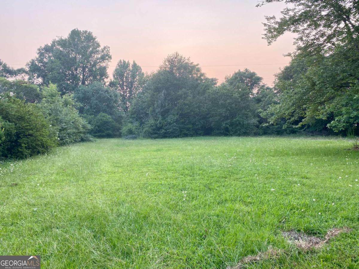 1250 Lafayette Parkway - Photo 1