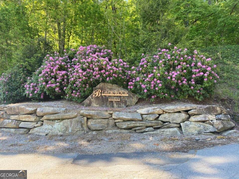 0 Yellow Trillium - Photo 1
