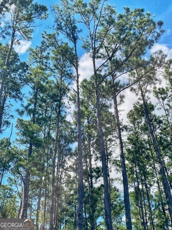 0 Incachee Road - Photo 1