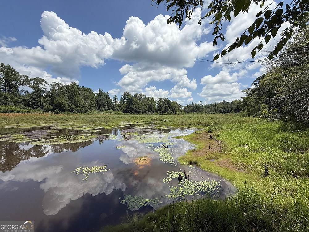 0 Fox Creek Road - Photo 1