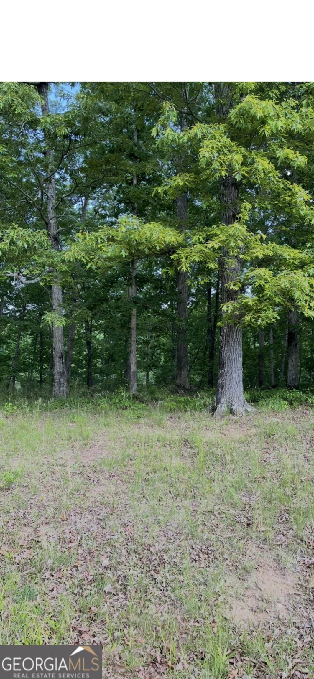 108 Timber Ridge Drive - Photo 1