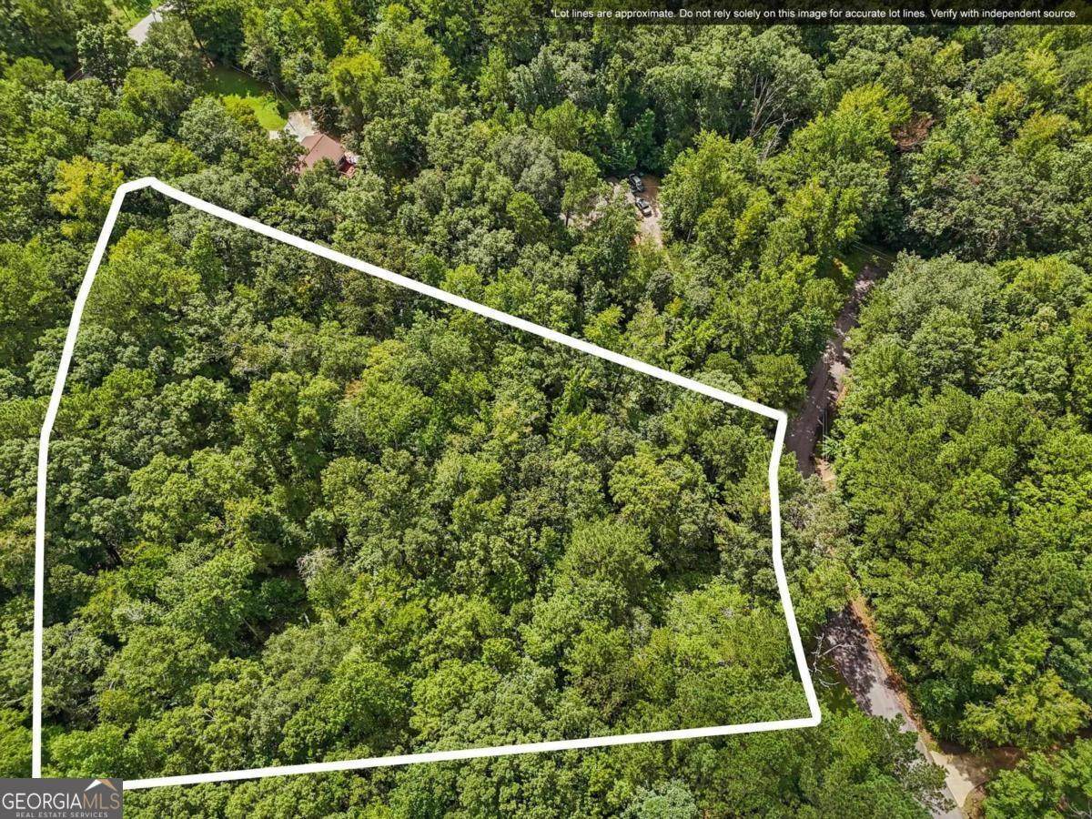 1040 Union Station Road - Photo 1