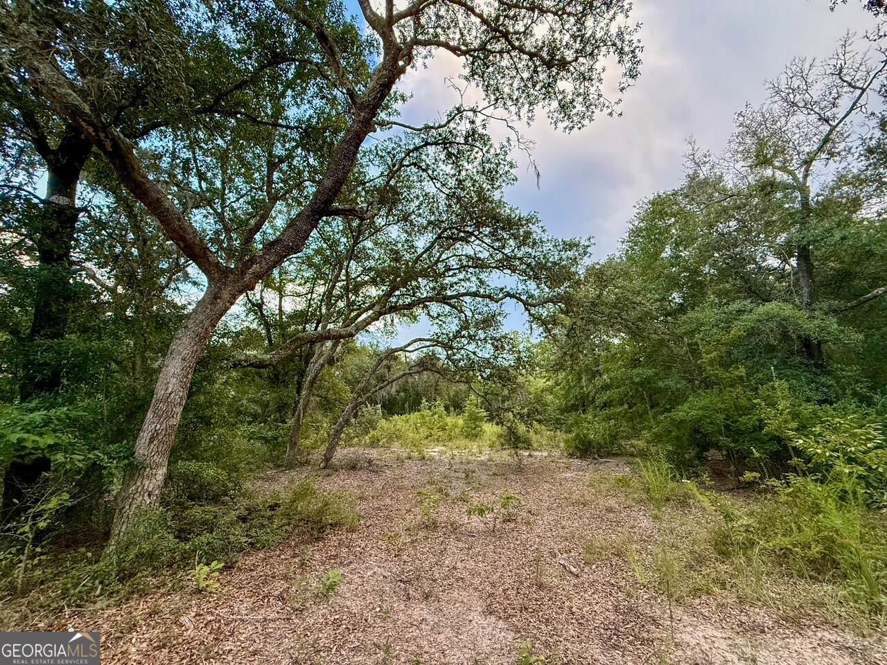 6005 & 6007 Tree Top Lane - Photo 1