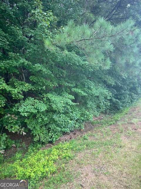 3533 Mcever Road - Photo 1