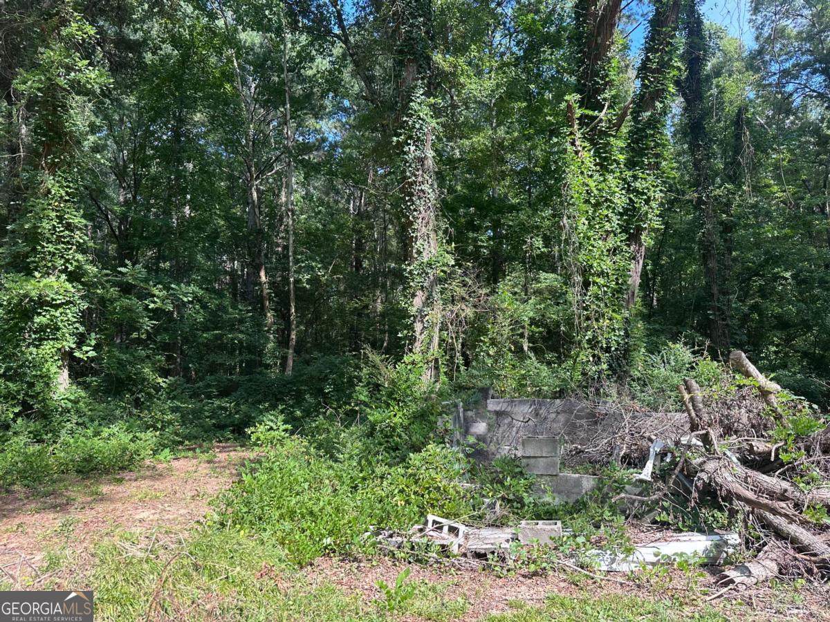 966 Judkin Mill Road - Photo 1