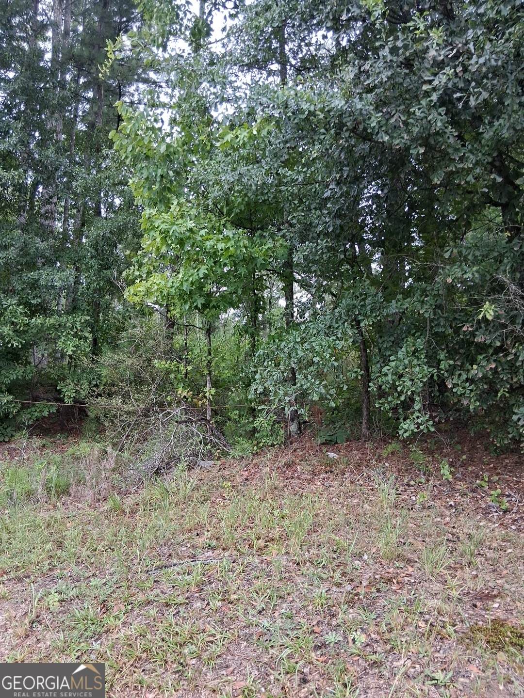 0 Joe Jerkins Boulevard - Photo 1