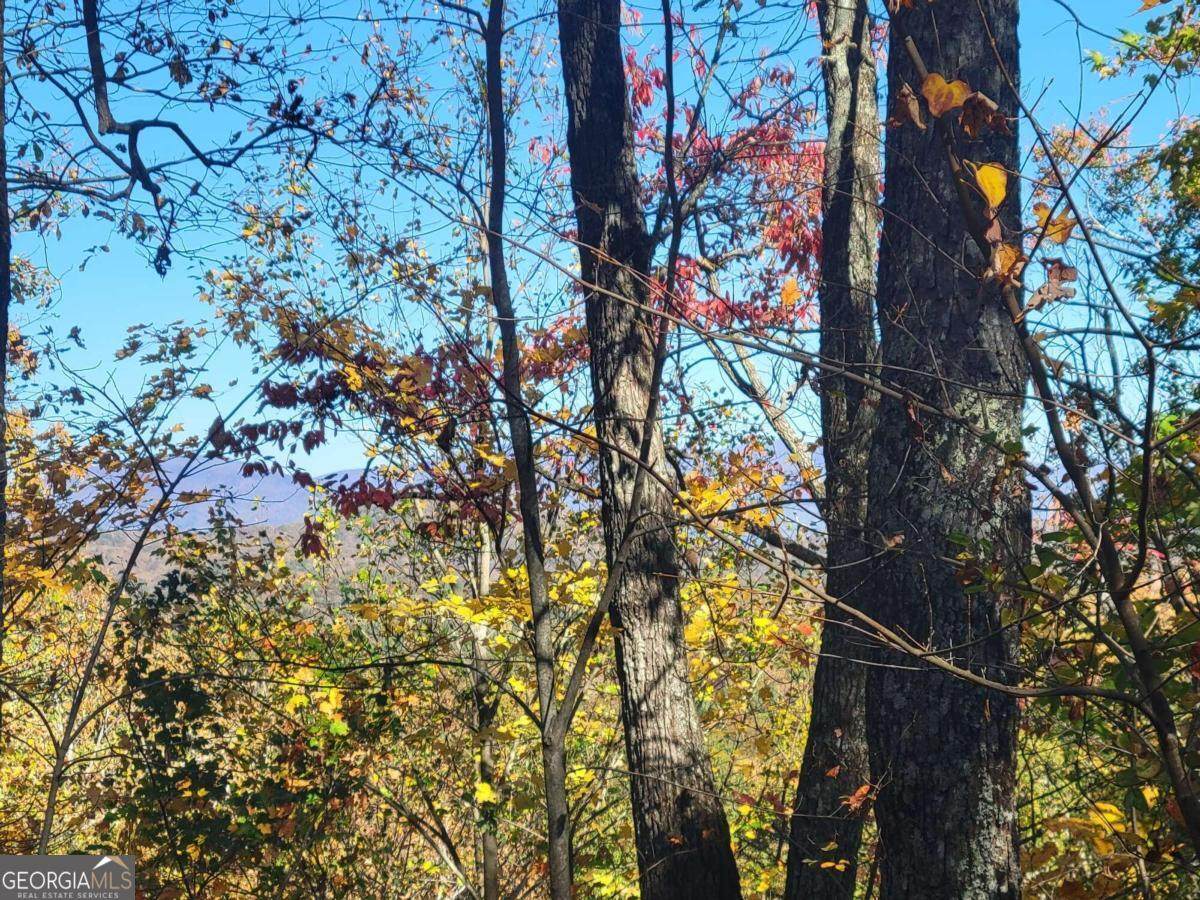 14 AC Old Burnt Mountain - Photo 1