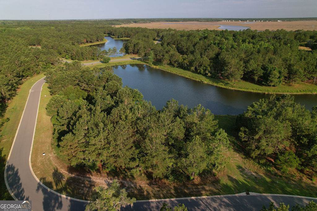 LOT 547 Beacon Pointe Parkway - Photo 1