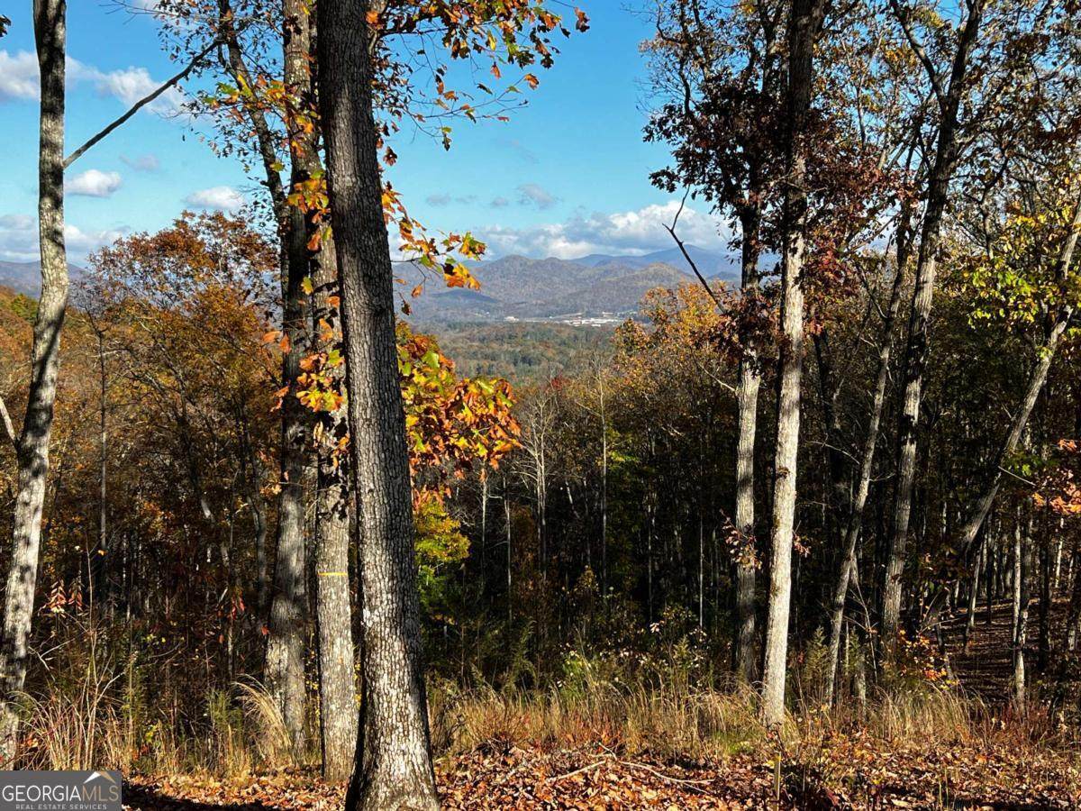 LOT 118 Winding Ridge - Photo 1