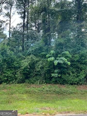 0 Spring Creek Circle - Photo 1