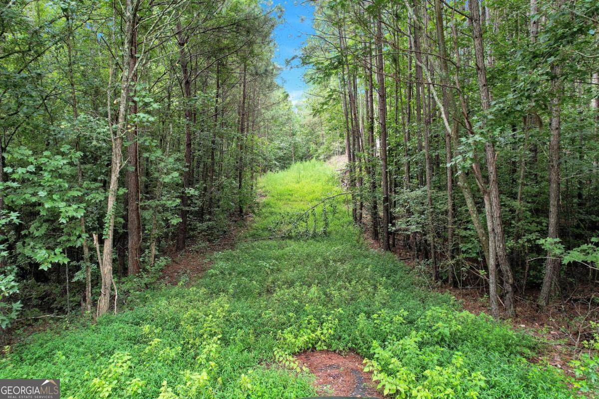 5287 Yeager Road - Photo 1