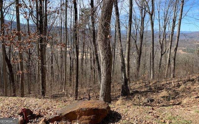 LOT 2 Rocky Knob Estates - Photo 1