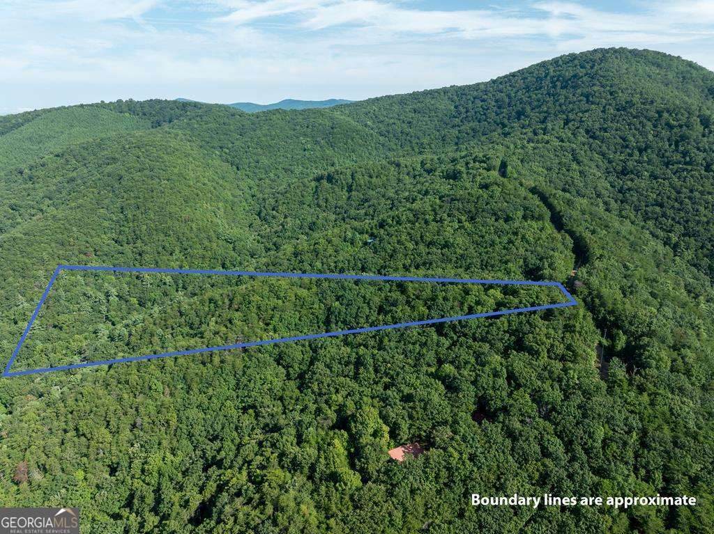 LOT 9 Brushy Top Drive - Photo 1