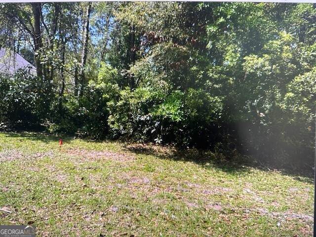 V/L 699 Mooring Lane - Photo 1